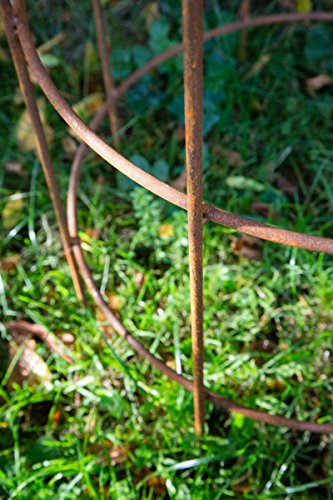 Blumenhilfe Ø 45cm Rankhilfe Obelisk Rost Höhe: 150 cm Rankgitter - 5