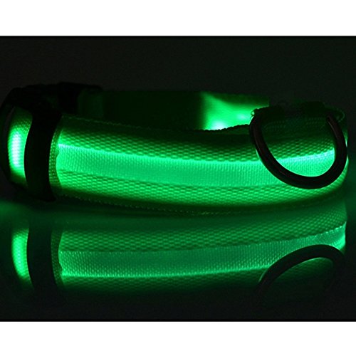 Tping-High-Visibility-Adjustable-Flashing-Night-LED-Light-Dog-Safety-Collar-USB-Rechargeable-Pet-Leash-Help-Dog-See-in-Dark