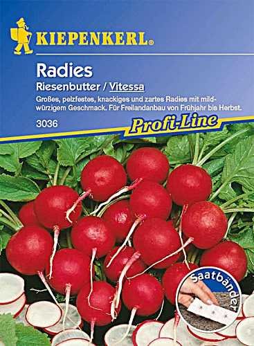 Radies Riesenbutter Vitessa Saatband 5mtr