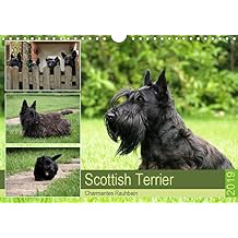 Suchergebnis Auf Amazonde Für Scottish Terrier Bücher - 