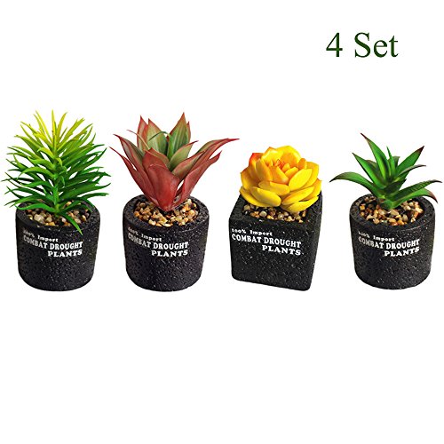 Preisvergleich Produktbild Mini künstliche Pflanzen in Töpfen dekorative Topfpflanzen Sukkulenten Tabletop Faux Kunststoff Grünpflanzen Wohnkultur Innen, 4er Set