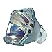 Price comparison product image Lutema Economy for Boxlight MP40T-930 Projector Lamp (Bulb Only)