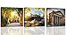 Produktbild Feeby. Leinwandbild - 3 Teile - Bilder, Wand Bild, Wandbilder, Kunstdruck, 3-Teilig, 270x90 cm, ROM, PANTHEON, ARCHITEKTUR, BRAUN