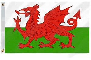 FLAGTEX Wales Flag 5ft x 3ft