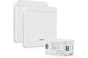 HOME HOLIC Interruptor De Luz Por Radio 10A 230V Juego De Interruptores De Luz Por Radio 200-2000w Pulsador Inalámbrico De Fácil Instalación (1 Receptor + 2 Interruptor)