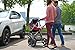 Maxi-Cosi Mura Plus Pushchair (Raspberry Red)