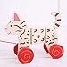 Bigjigs Toys Pull Along (Cat)