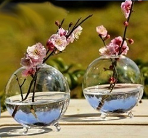Generic Glas Hydroponischen mini Vase Kugel Mikro Landschaft DIY Flasche Terrarien Fisch Behälter 8cm - 3