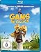 Produktbild Gans im Glück [Blu-ray]