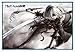 Produktbild Close Up Nier: Automata Poster Yorha Model B Nr. 2 (63,5x94 cm) gerahmt in: Rahmen türkis