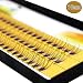 Professional Makeup 60pcs Clusters Eye Lashes Fake Individual False Eyelashes Extension (10mm)