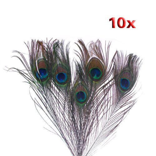 Preisvergleich Produktbild Peacock Feathers - 10pk by CI