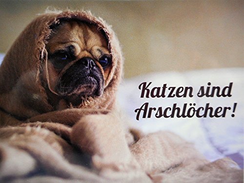 Preisvergleich Produktbild Mops Katzen sind Arschlöcher Postkarte 15 cm Foto Karte Sammelkarte Deko GP 300
