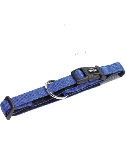 Nobby Katzenhalsband – Aus Robustem Nylon, Stufenlos Verstellbar, Mit Sicherheitsverschluss & Glöckchen, In Türkis