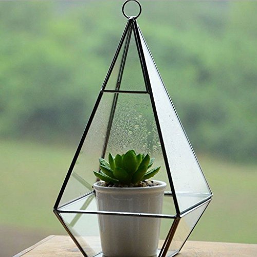 Generic Modern Design Glas Terrarium Geometrisches Sukkulente Pflanzen Deko – Rautenförmig – 12 * 12 * 24,5 cm - 2
