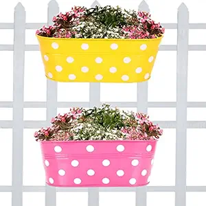 Trust Basket Set Of 2 -Dotted Oval Railing Planter - (Magenta, Yellow)