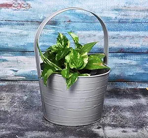 HINS Metal Grey basket Plant Pot For Indoor & Outdoor Gardening Metal Pots For Indoor Plants I Elevated Garden Planter I Raised Planter I Desk Plant I Raised Planter Box I Ascent Homes Metal Planter I Raised Planter Box With Legs I Brass Pots For Indoor Plants I Golden Planter I Mid Century Plant Stand I Brass Planters For Indoor Plants I Indoor Plant Stand For Living Room I Metal Planters Pot For Indoor Plants designer pots for indoor plants