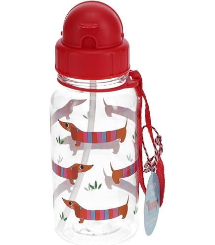 Rex London – Kinder-Trinkflasche „Ladybird“ – 500 Ml – Klar – BPA-frei – Für Kita & Schule