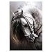 Produktbild DIY 5D Horse Diamond Painting Cross-Stitch for Entrance Living Room Bedroom