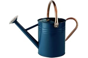 KENT & STOWE Gardman 34896 Arrosoir Métallique Solide avec Anse Rabattable