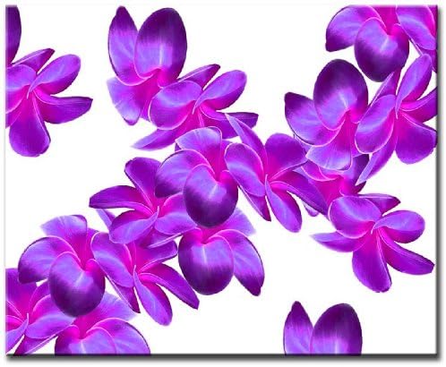 Lynxart Size Single Canvas 60cmx40cm NEW MODERN CANVAS WALL ART ABSTRACT PICTURE PRINT MOUNTED LARGE ORCHID PURPLE