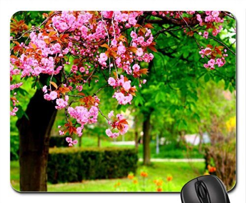 Preisvergleich Produktbild Spring Park Mauspad, Mousepad (Freizeitparks Maus Pad)