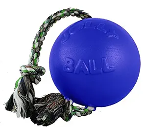 Jolly Pets 4-1/2-Inch Romp-N-Roll Blue, 038527