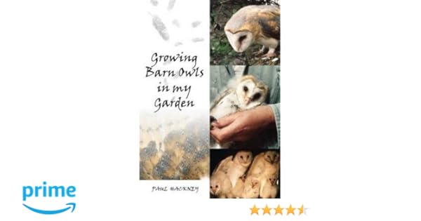 Growing Barn Owls In My Garden Amazon Co Uk Paul Hackney