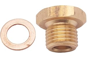 Shiwaki Adaptateur de Manomètre de Temperature 1/8 ''NPT à M14x1.5 Montage pour Jauge de Pression d'Huile Eau Température