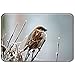 Produktbild Violetpos Fußmatte Wald Vögel Sperling Fußmatten Mat für Innen & Außen 40 x 60 cm