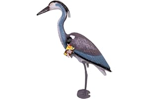 THE BIG CHEESE Dicoal STV955 - Garza