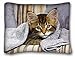 Produktbild Fashion Funny Throw Pillow Covers Case Standard Cases Cushion Cover Pillowcases Animals Kitten cat Animals 20" 30" Fathers Day
