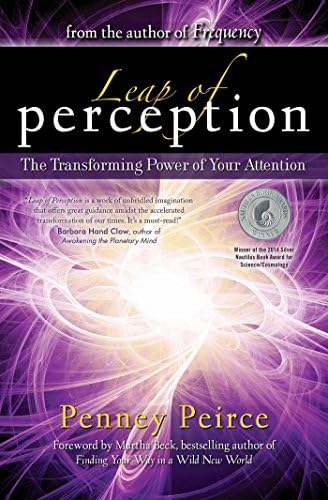 Leap of Perception: The Transforming Power of Your Attention