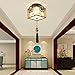 Produktbild BRIGHTLLT Neue chinesische kleine Deckenlampe runden Balkon Xuan Guan Deng China Wind Square Schlafzimmer Korridor Hotel Lampe, 220 * H270mm