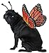 Produktbild California Costumes Collections PET20164 Monarch Butterfly Dog Costume, Large