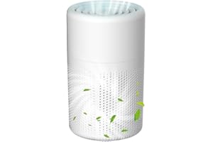 DONGKER Purificateur d'air Silencieux USB, Ioniseur d'air, Elimine Pollen, Fumée, Squames d'animaux, pour Chambre à Coucher, Bureau, Salon