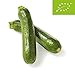 Bio Zucchini, 500 g