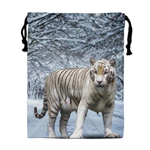 Christmas Gnome Drawstring Backpack Bags Goody Bags Party Favor Bags Supplies for Boys and Girls