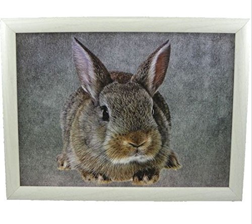 Lap Tray Rabbit Brown