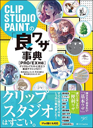 Preisvergleich Produktbild CLIP STUDIO PAINT [PRO / EX] 211
