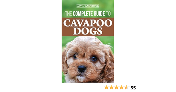 best brush for cavapoo