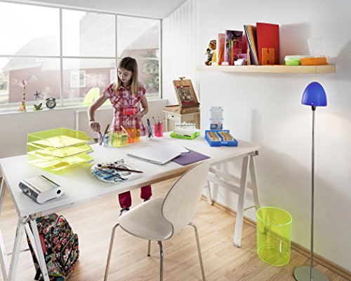 Han 18131-76 Elegance - Papelera con capacidad de 13 litros  color rosa