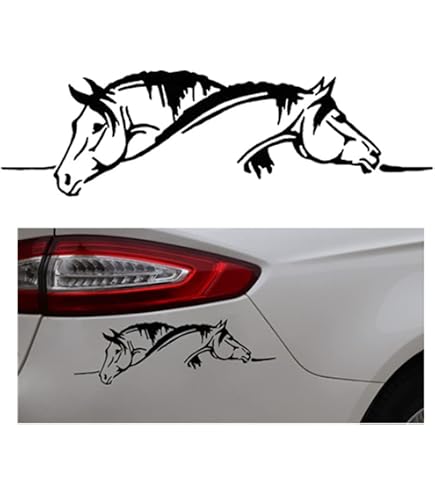 Cavallo per camion - RP Grafica
