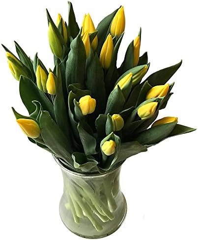 Clare Florist Tulips Gorgeous Bouquet Fresh Flowers - Yellow (20-Piece)