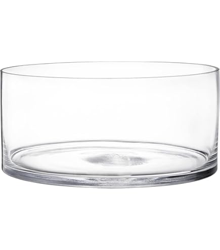 Smithers Oasis – Vaso Acrilico Quadrato Trasparente, 12x12 Cm, Altezza 25 Cm, Leggero E Resistente Per Fiori E Composizioni