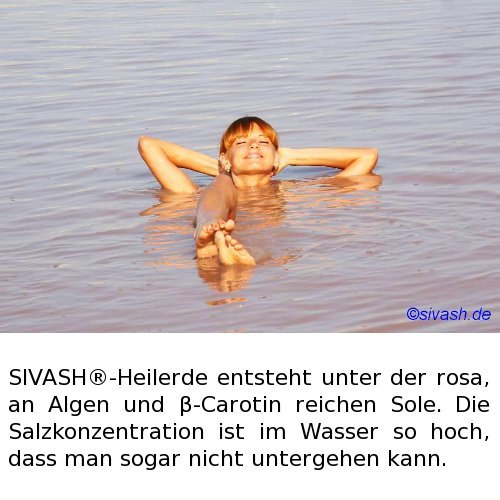 SIVASH-Heilerde Mineral Waschlotion für Gesicht 250 ml. Mit Beta-Carotin-haltigem Soleschlick, Rose, Aloe, Johanniskraut, SPA-Pflege durch natürliche Wirkstoffe auch bei Pickeln, Akne, unreiner Haut - 2