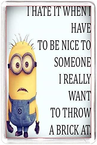 FRIDGE MAGNET Quotes Saying Collectors Gift Present Novelty Minion Charactor Hate Nice People Brick Head Throw