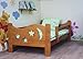 Moon N Stars Toddler Bed - Alder