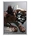 Produktbild FINAL FANTASY VII ADVENT CHILDREN Karte rmel Red XIII