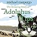 The Amazing Story of Adolphus Tips by 